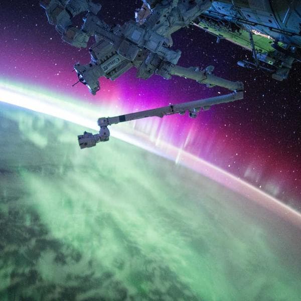 Nature's Bounty Biotin 5,000mcg