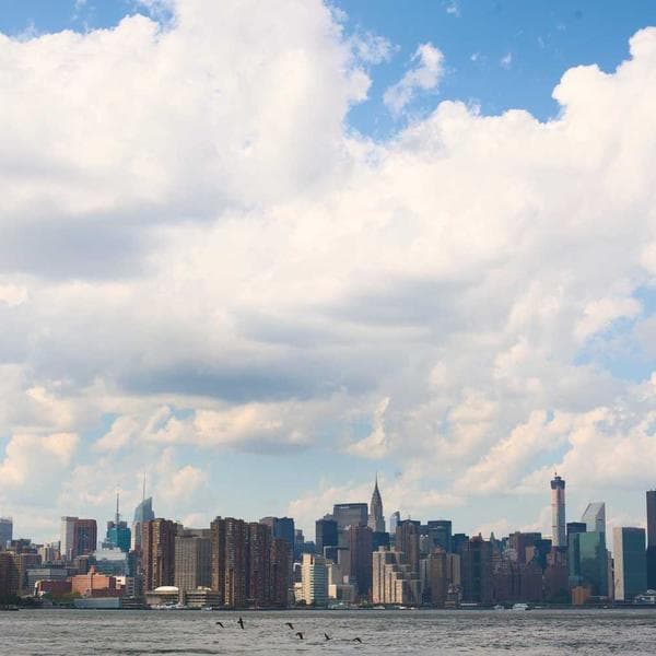 Pashmina Shawl – Hand Woven