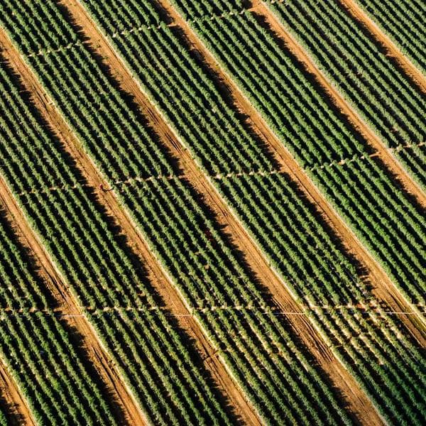 Singing Bowl – Meditation Grade